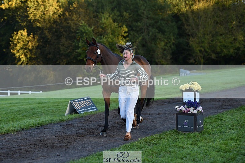 231022-085122-21402 - 668-BOWHAYLANDS.SKYFALL-Miya.Johns-TrotUp+SJ