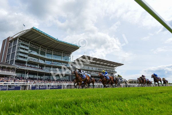 170523-Race 1-Scampi-3784 - Race 1 1.50pm Sky Bet Race To The Ebor Jorvik Handicap