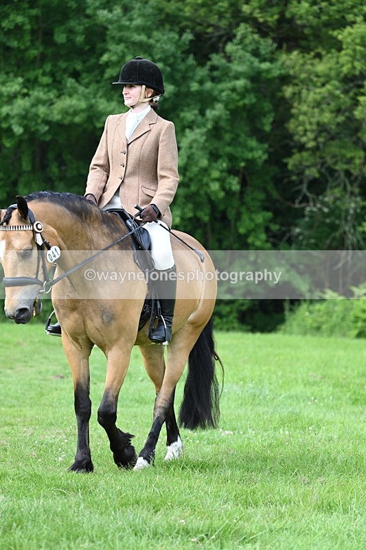 WJ7_1009 - Class 11 Condition & Turnout