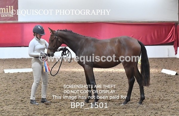 BPP_1501 - MORNING 9AM - 12PM