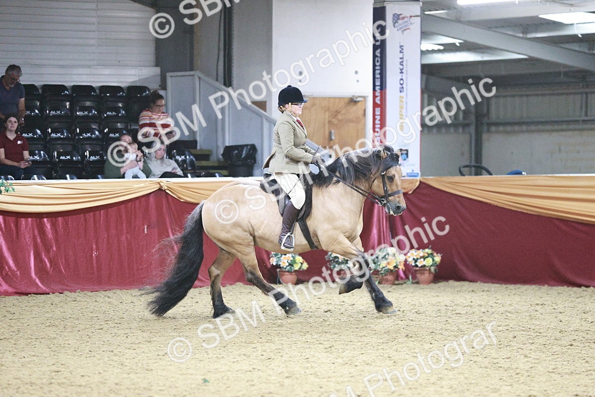 SBM_08114 - Class 11R - Regional Ridden Veteran