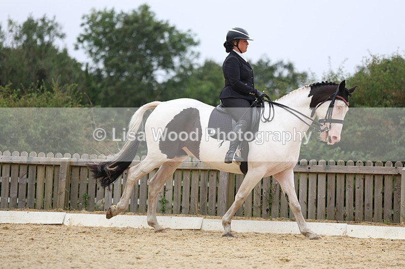 3E7A7375 - Class 9: Elementary 4 2024 - No sections