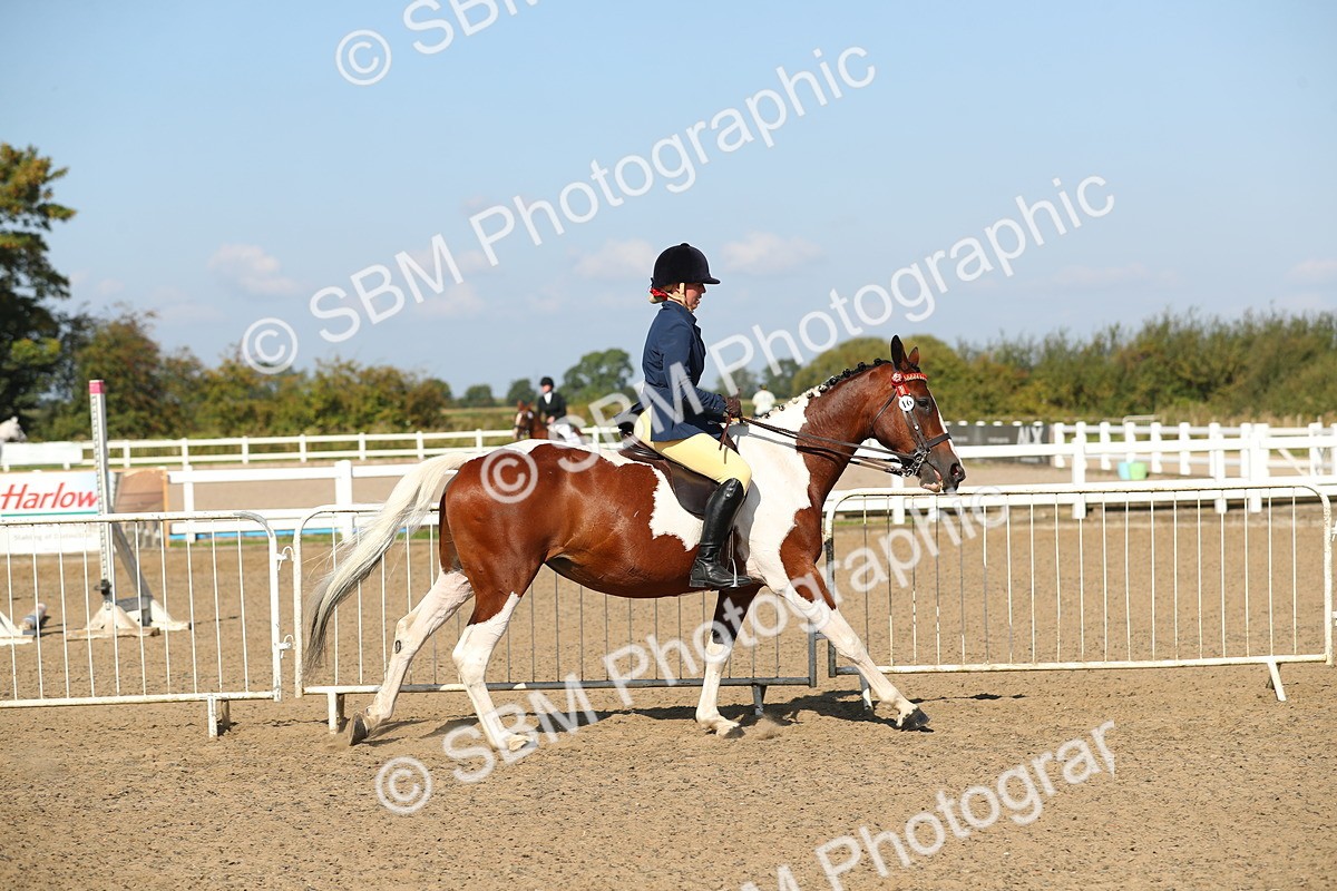 SBM_02219 - Class 43 Ridden Competition Horse/Pony