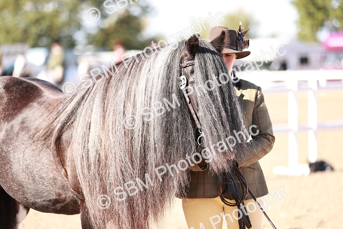 SBM_12605 - Class 404 - IH Traditional - Native Cob