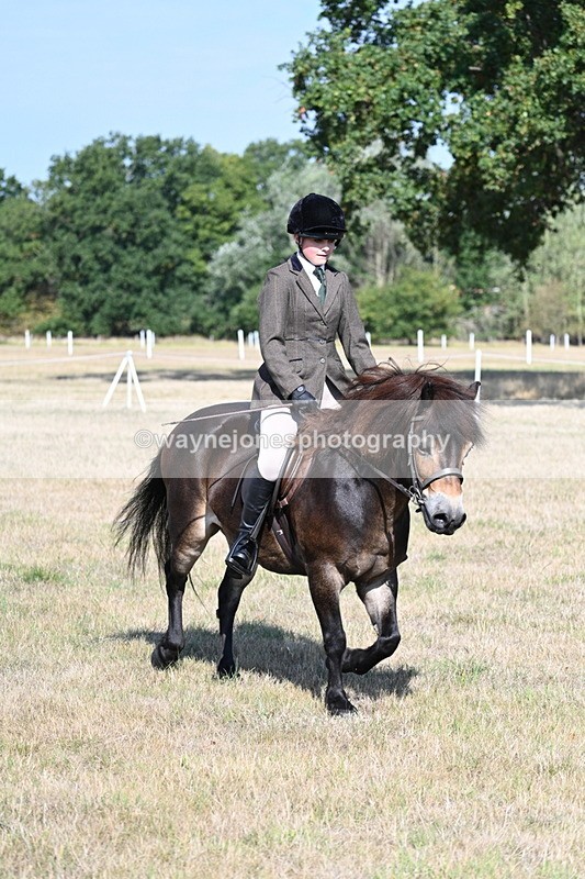 WJ7_2938 - Class 8 Ridden Tack & Turnout