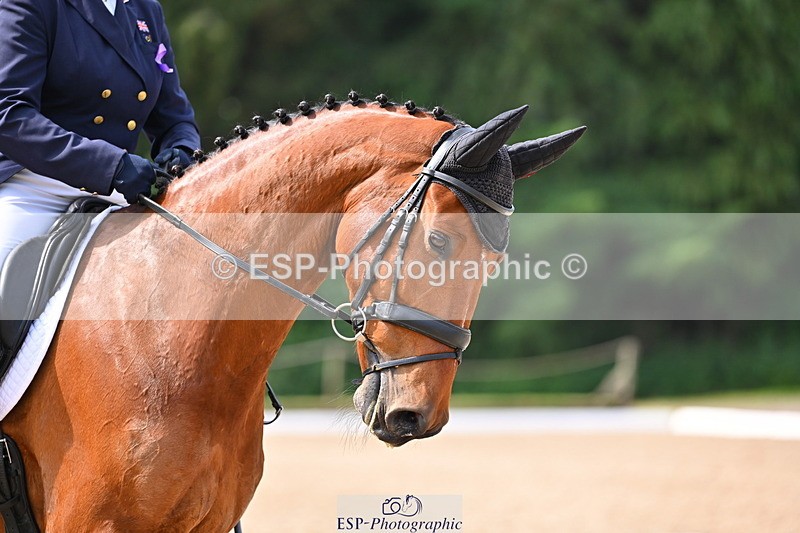 250523A-104210-05762 - C-267-Jeanette.Brakewell-PRIMIRO