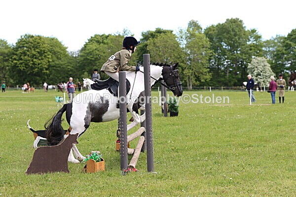 IMG_2911 - Working Hunter