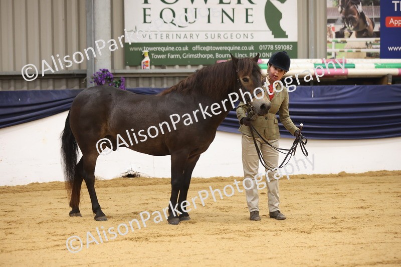 20260913-1115 - Class 110 - Bred In Other In Hand