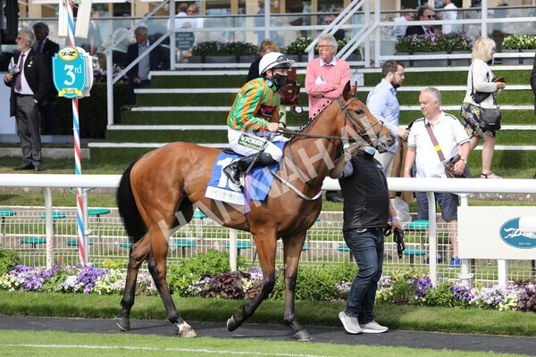 yr12062021r4-3 - Race 4 3.40pm The Pavers Foundation Catherine Memorial Sprint Stakes