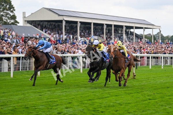 230825-Race 1-King Of Cities-9571 - Race 1 1.50pm Sky Bet Strensall Stakes