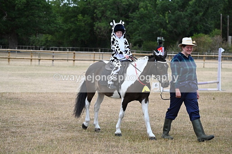 WJ6_8632 - Class 11 Fancy Dress