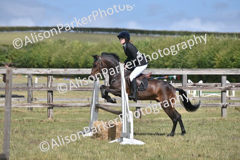 20250831-4036 - Class 12 - Working Hunter Pony 14.2hh and Under