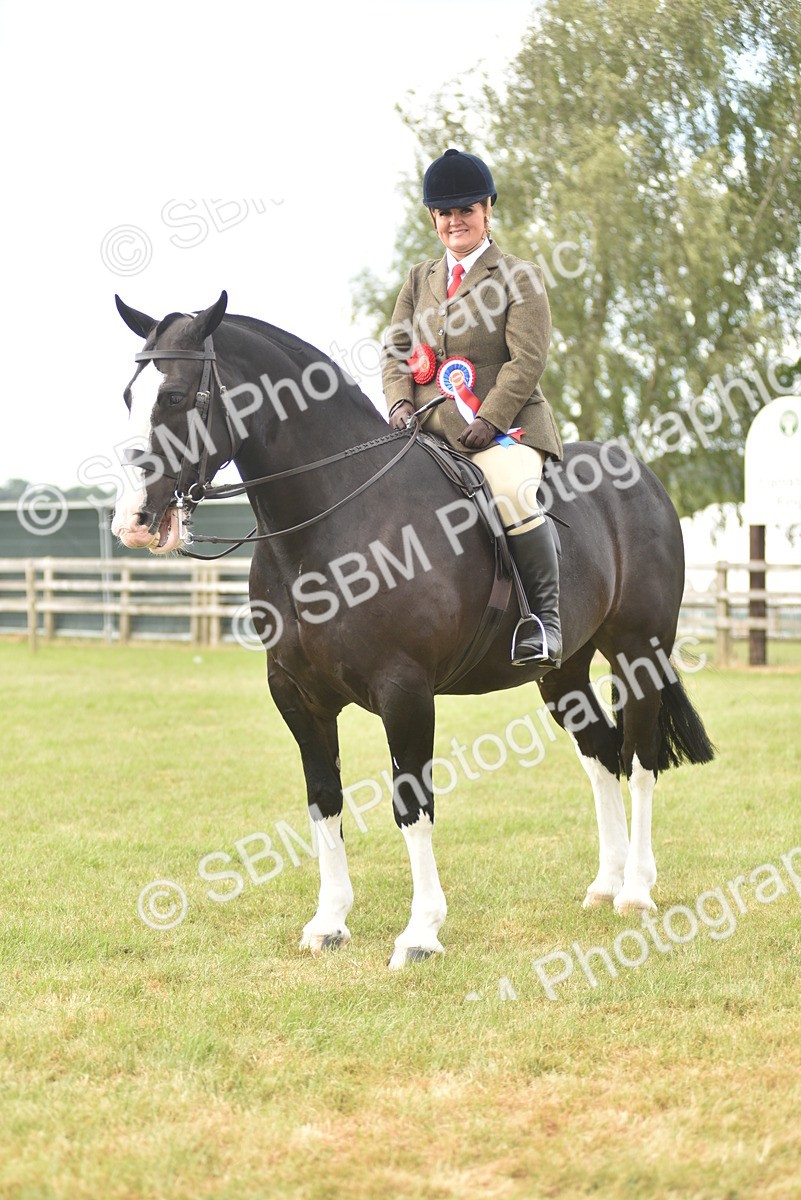 SBM_18265 - Class 122-123 - LIHS BHSA Raising Star Style and Performance Series