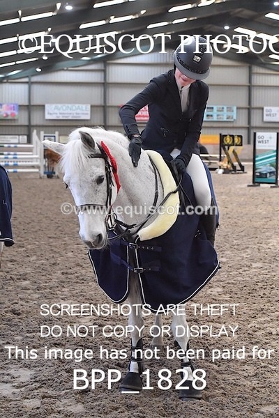 BPP_1828 - CLASS 8  Pony British Novice / 0.80m Open
