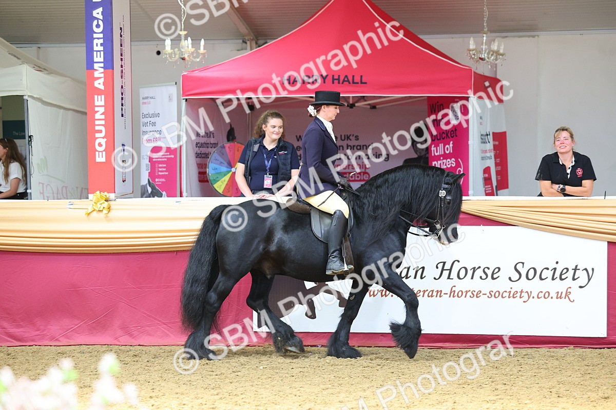 SBM_24025 - Class 905 - Supreme Final - Ridden Veteran