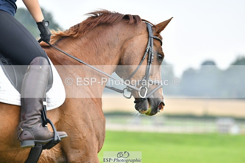 230817-092612-02547 - Abbie's 1st Group - Dressage