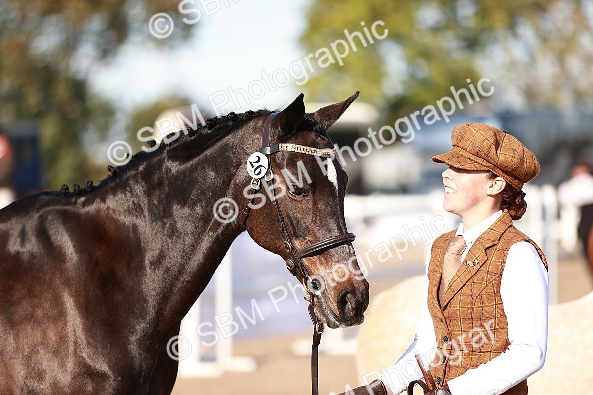 SBM_11399 - Class 402 - IH  Veteran pony