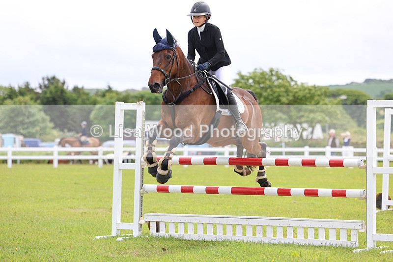 3E7A6798 - Class 11: Senior Newcomers/1.10 open