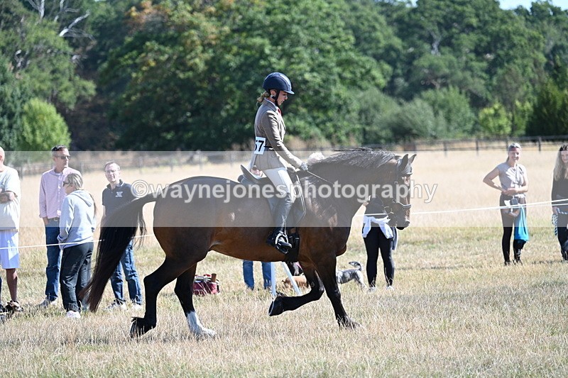 WJ7_3905 - Class 9 Mountain & Moorland Ridden