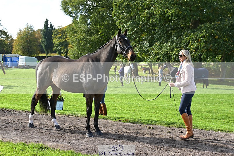 241023-130717-00082 - 056-Claire.Deuten-KILBUNNY.BLUE.BIRD