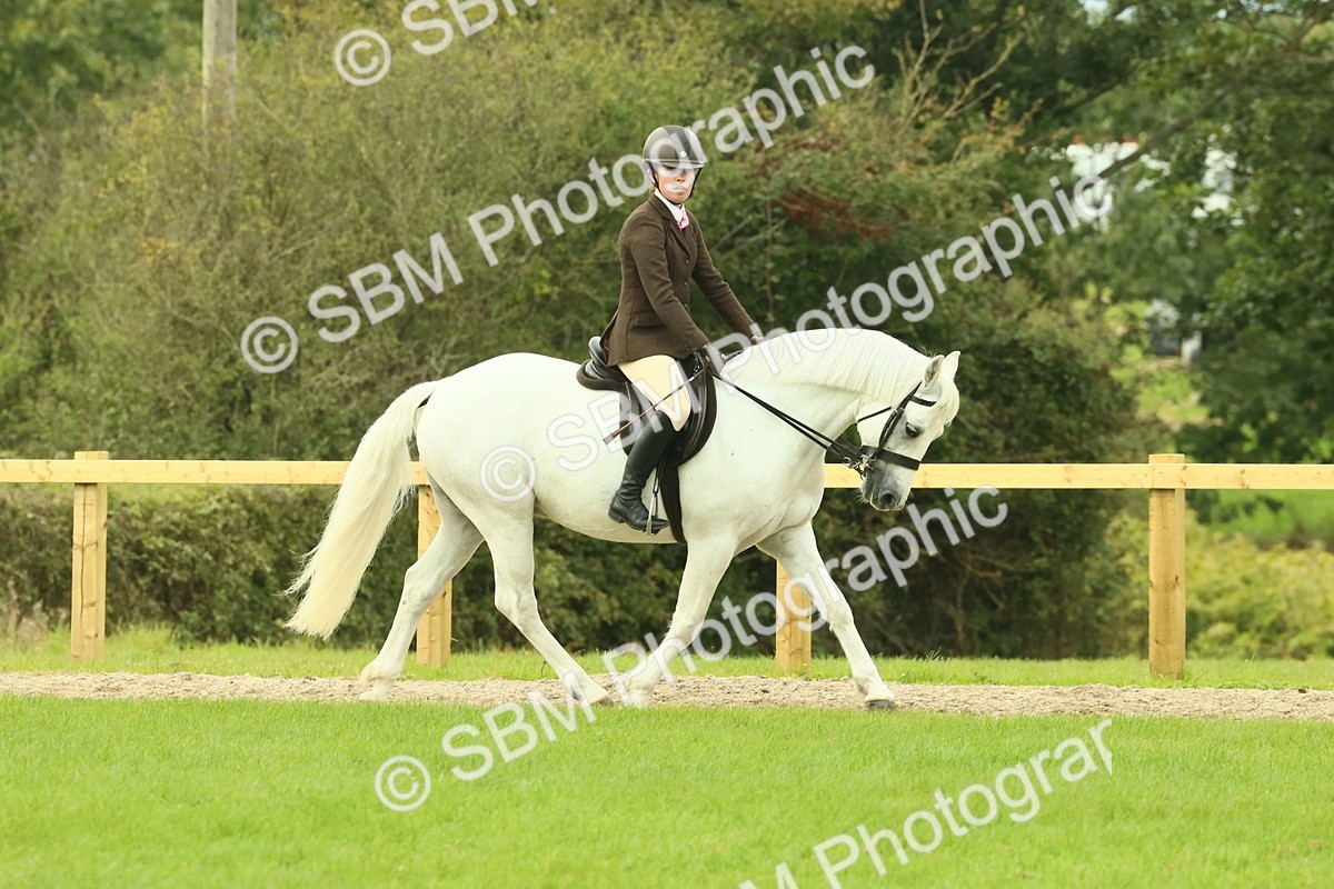 SBM_71840 - S60 - Mountain & Moorland Ridden Large Breeds