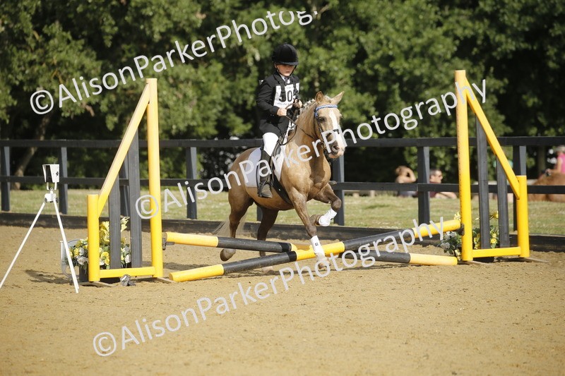 20250622-1185 - 40cm