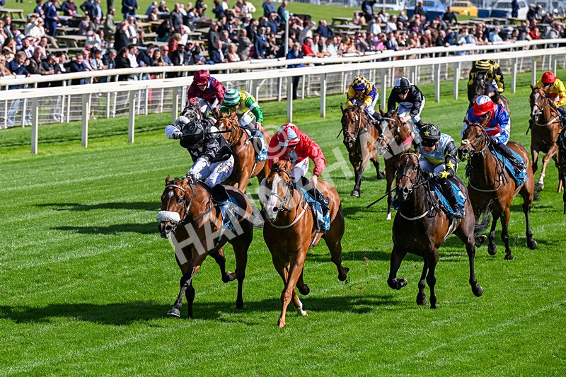 120626-Race 6-Rotokura Belle-0347 - Race 6 16.45pm Dawson Williamson Architects Handicap