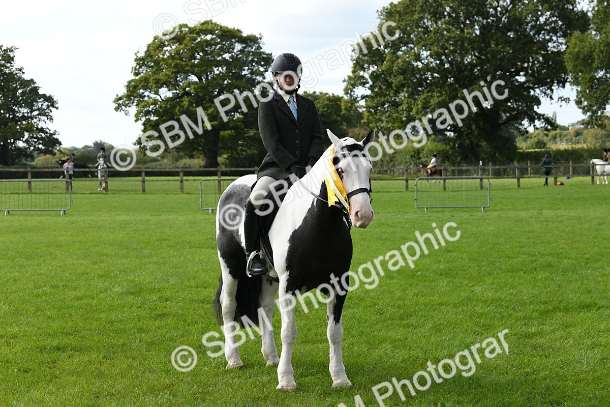 SBM_47268 - S12 - Family Horse & Pony
