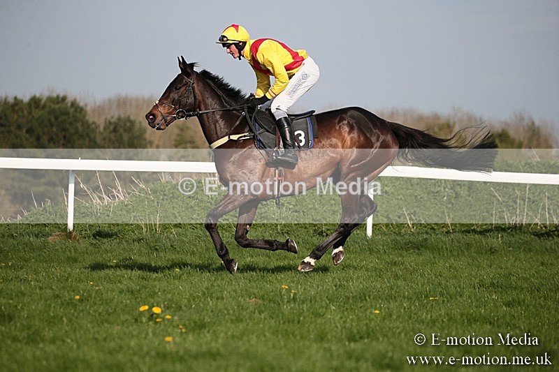 PtP 210418 554 - South & West Wilts Point-to-Point Larkhill 21/04/18
