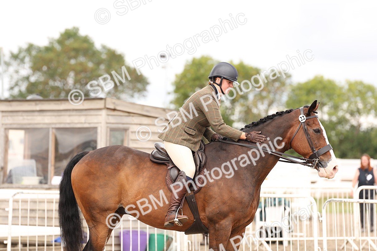 SBM_02880 - Class 53 - Ridden Competition Horse/Pony