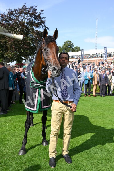 yr18082021r4-153 - Race 4 3.35pm Juddmonte International Stakes (British Champion Series race)