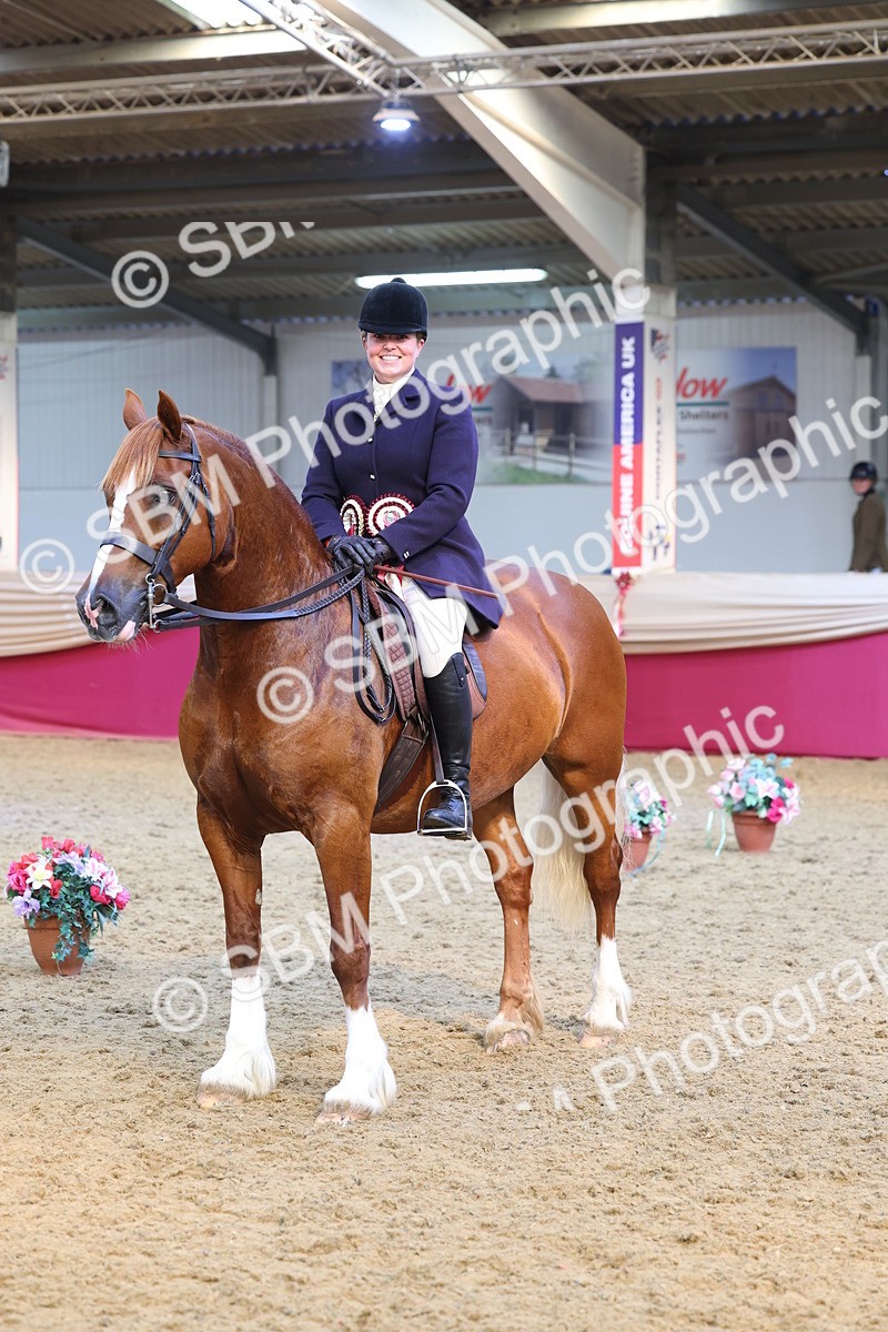 SBM_24690 - Class 906 - Supreme Final - Ridden Pre Vet