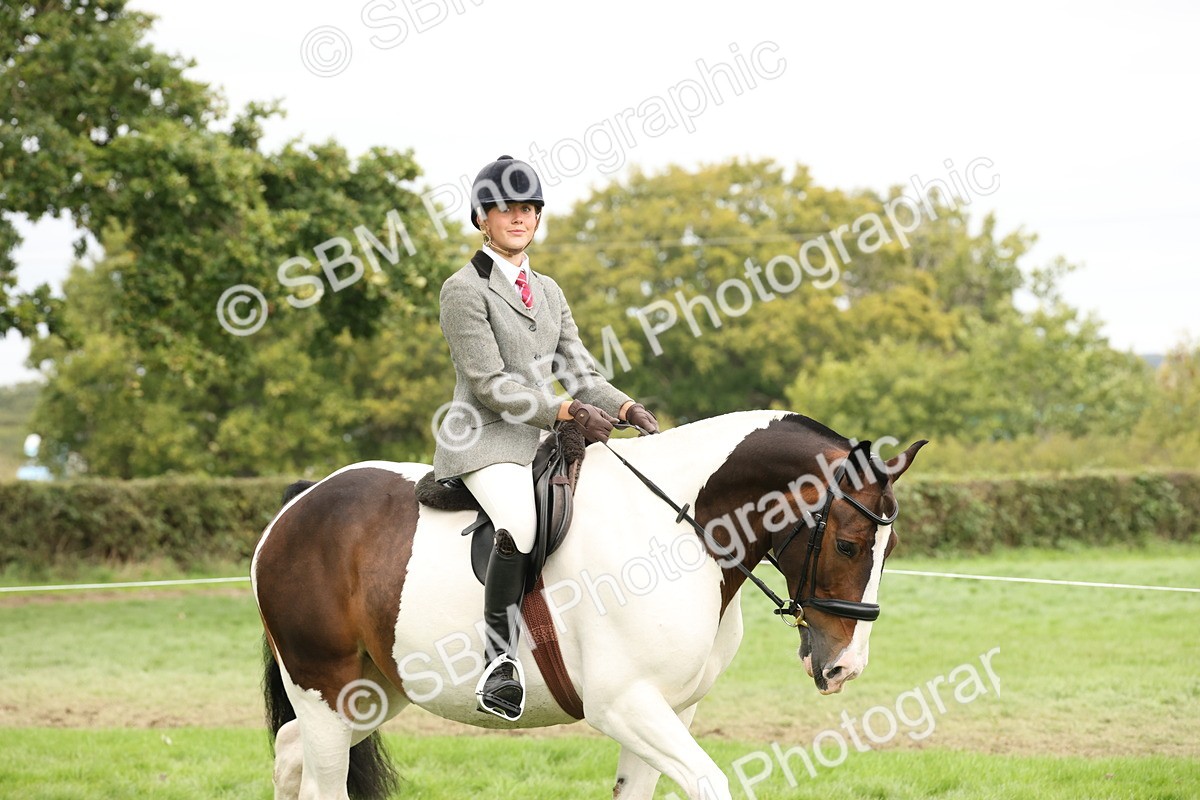 SBM_67198 - S67 - Piebald & Skewbald Horse Ridden