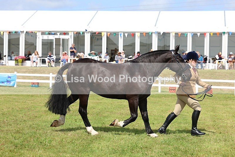 3E7A9998 - Class 5: Rising Star Lightweight/Heavyweight Cobs