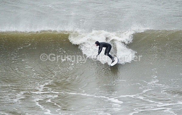 DSC_1838 - Cayton Bay - 11th April 2017