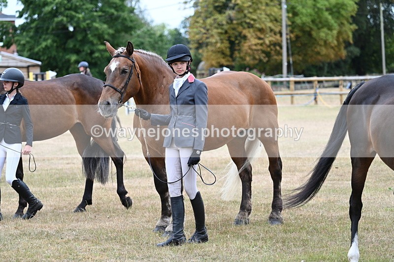 WJ7_9196 - Class 4a Prettiest Mare 14.2hh and over
