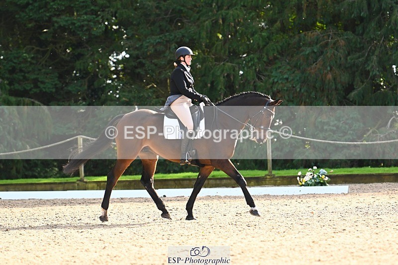 231021-142523-18707 - 253-GEKO-Odette.Orlande-DR