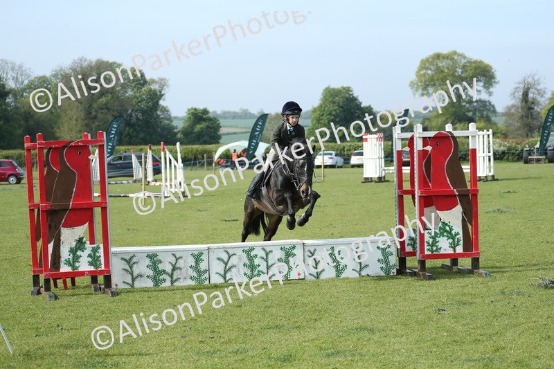 20260426-0207 - Class 13 - Rookie Jumping 50cm