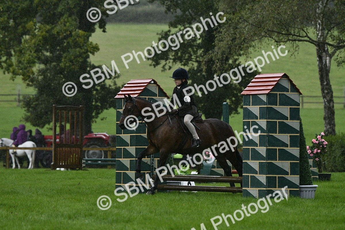 SBM_35502 - S30 - Nursery Stakes Working Hunter Pony