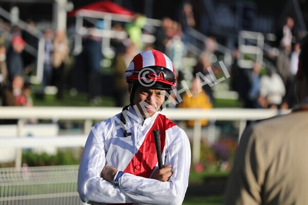 yr07102022r6-4 - Race 6 5.00pm William Hill Lengthen Your Odds EBF Novice Stakes