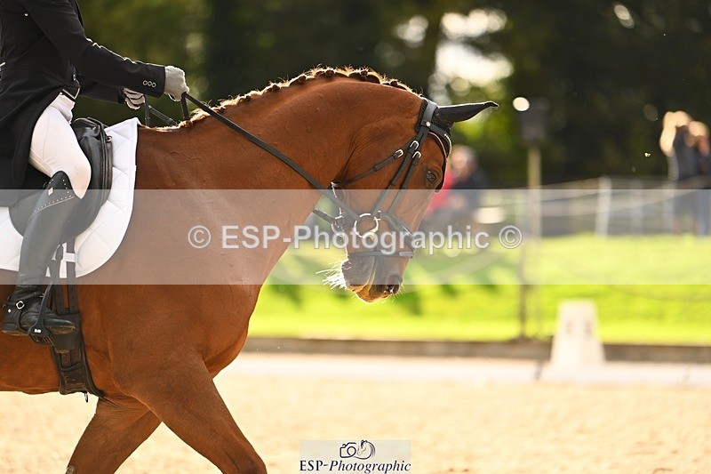 231021-153945-21177 - 340-SIDNEY.MOON-Lisa.Maynard-DR