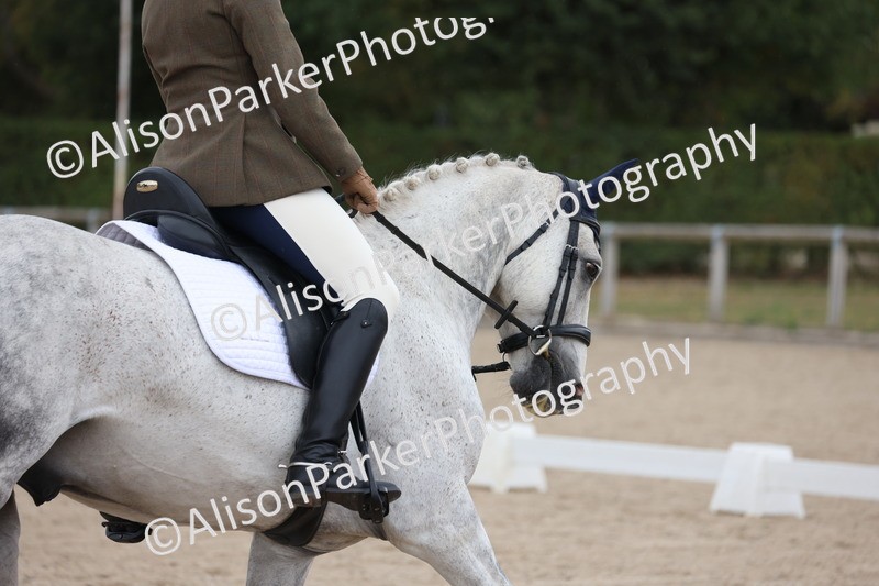 20250820-0773 - Class 15 - Novice 4