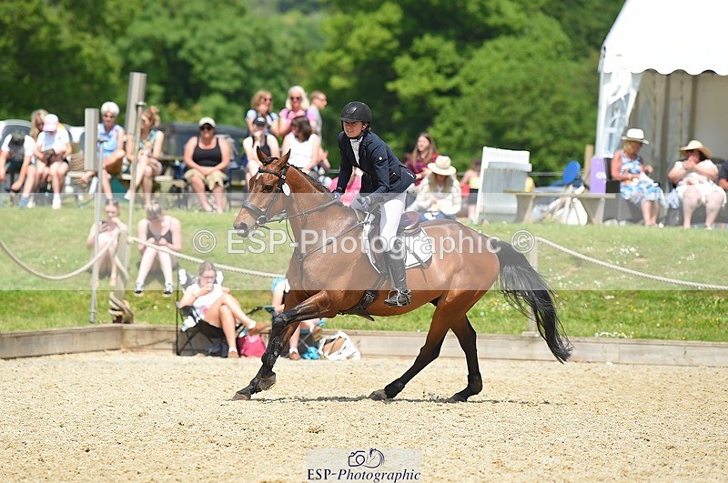 230528-123050-15734 - 373-BENGAL_LORE-Pippa_Taylor-SUNTrotUp+SJ