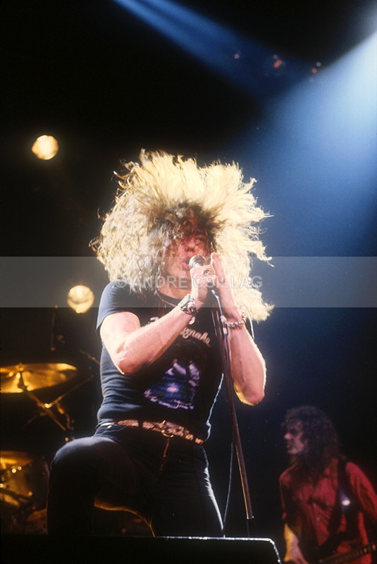 WHITESNAKE - W..