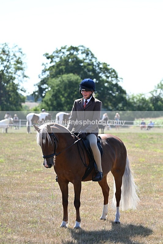 WJ7_3651 - Class 9 Mountain & Moorland Ridden