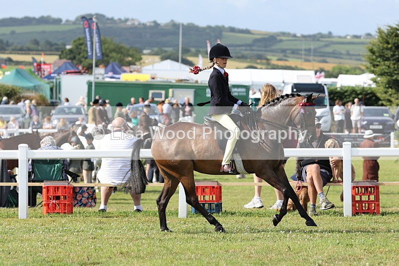 JPP_0732 - Class 16: Cornish Combination Young Rider