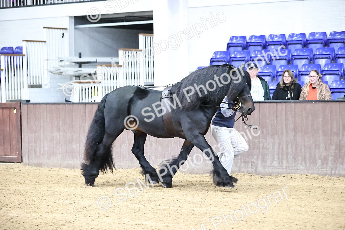 SBM_5266 - Class 32 - In Hand Cob Type