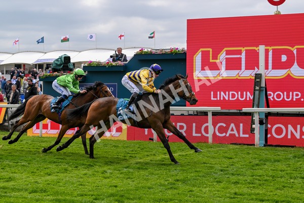 150525-American Affair-3706 - Race 1 2.10pm Lindum York Handicap
