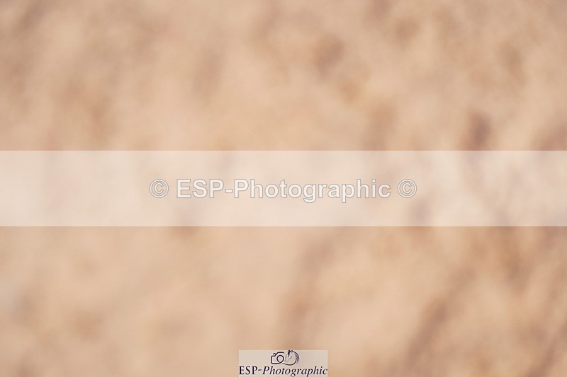 240506A-111422-08530 - Cls 14 Under 11 128cm