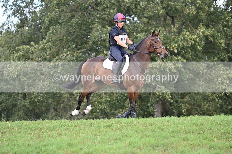 WJ7_2328 - Time 13:55 to 14:05